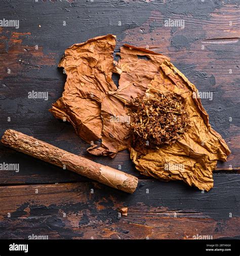 cigar and dried tobacco leaf on old wood vintage table with fine visible structure Solonaceae ...