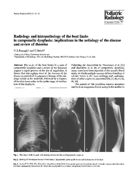 (PDF) Radiology and histopathology of the bent limbs in campomelic ...