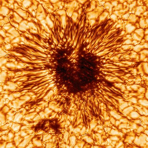 Ultra closeup view of sun's surface offers unprecedented detail by NSF ...