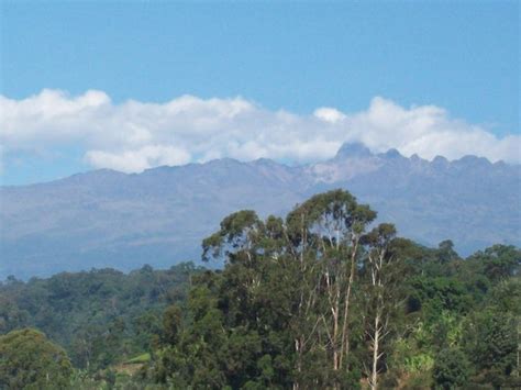 Mount Kenya forest Project - Global Biodiversity Protection