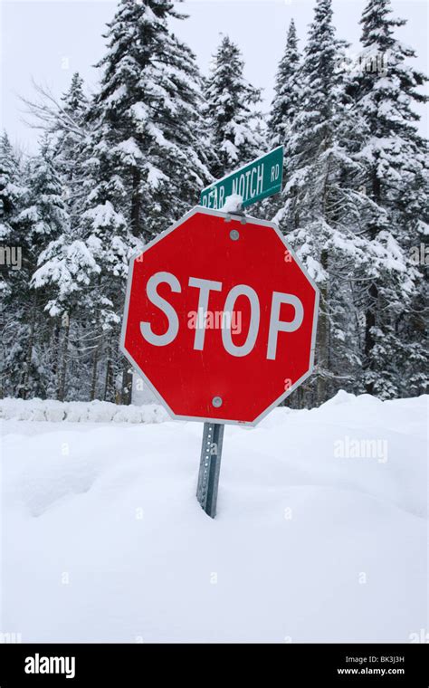 Snow covered stop sign hi-res stock photography and images - Alamy