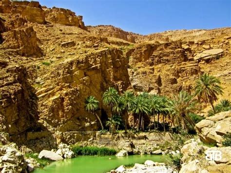 Biskra - Algeria All About Africa, Desert Sahara, Algiers, North Africa, Nice View, Nature Art ...