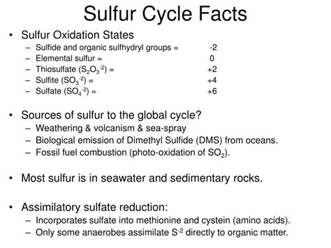 PPT - Sulfur Cycle Facts PowerPoint Presentation, free download - ID ...