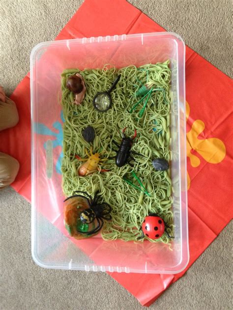 Pin by Zoe Moruzzi on Mini beast | Classroom crafts, Minibeasts, Beast idea