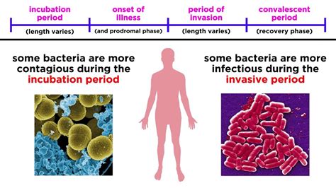 Bacterial Infection