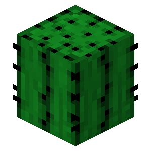 Cactus | Minecraft Wiki | FANDOM powered by Wikia