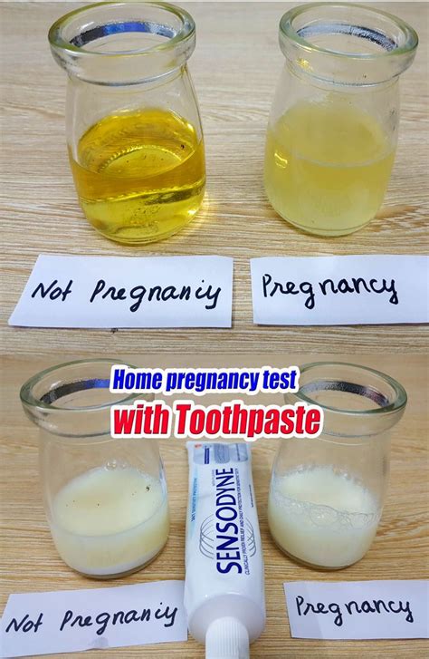 At Home Pregnancy Test Diy Vinegar