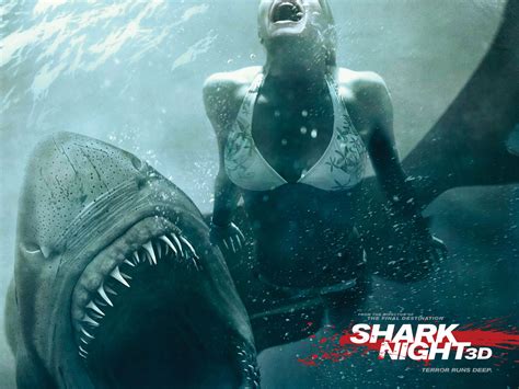 Free download Shark Attack HD Desktop Wallpaper HD Desktop Wallpaper [1600x1200] for your ...