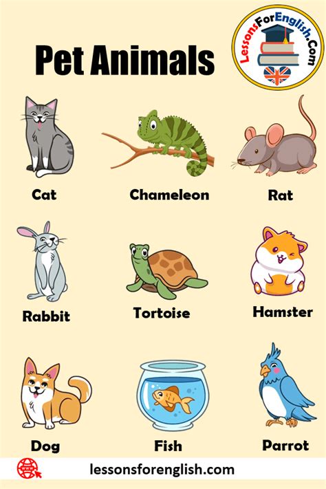 1000 Pet Animals Names, Definition and Example Sentences, Dog, Cat and others - Lessons For English