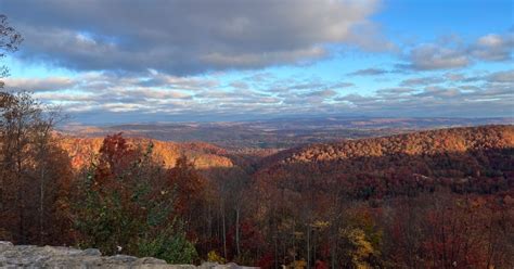 When will you see the best fall colors in Virginia this year? | WVTF