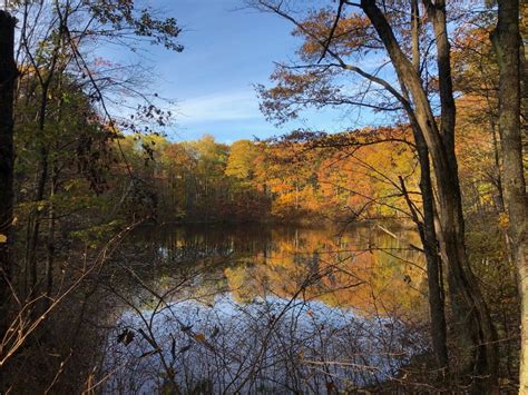 Take This Scenic Trail For A Colorful Fall Foliage Hike In Wisconsin