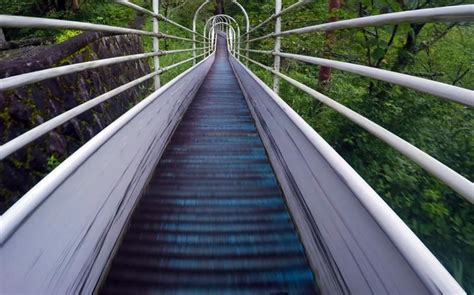 Japan’s longest roller slide isn’t for the faint of heart | Stars and ...