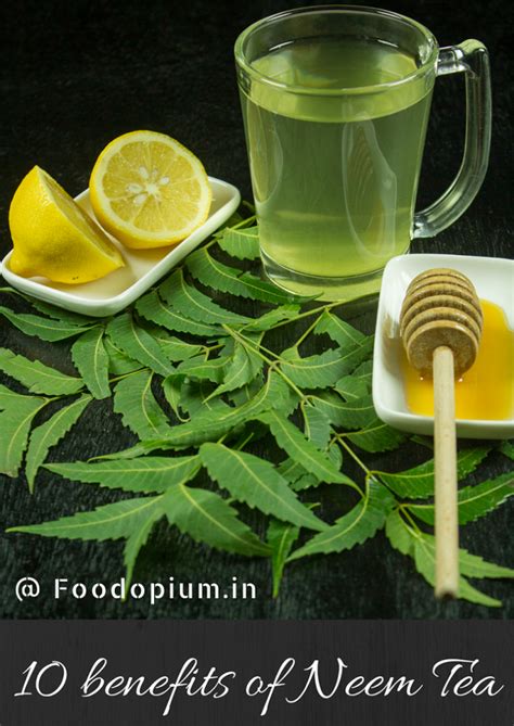 10 benefits of Neem Tea – Food Opium