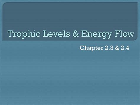 PPT - Trophic Levels & Energy Flow PowerPoint Presentation, free download - ID:2421154