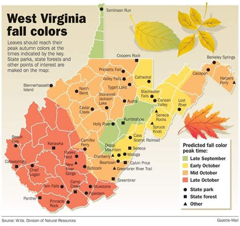 Charleston Gazette-Mail | WV Forestry layoffs spark change in fall ...