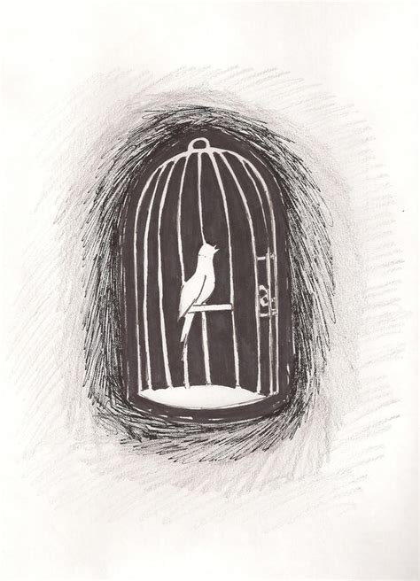 Caged Bird Drawing at PaintingValley.com | Explore collection of Caged ...