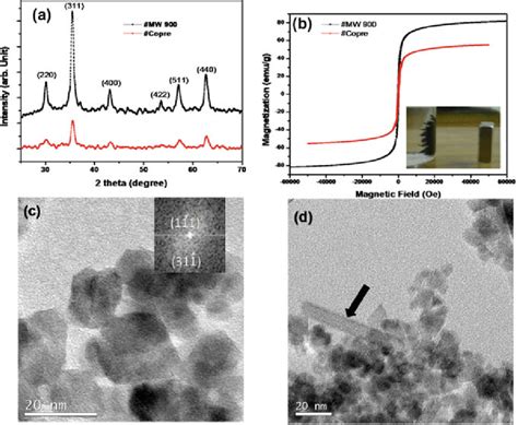 Characterization of magnetite nanoparticles synthesized at 60 °C using... | Download Scientific ...