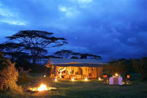 The 10 Best Masai Mara Hotels for an Unforgettable Safari Experience