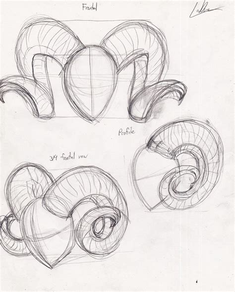 how to draw ram horns - Google Search | Sketches, Sketch book, Art ...