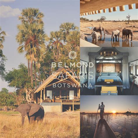 LUXURY BOTSWANA SAFARI - TTFN Travel