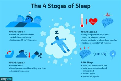 The 4 stages of sleep : r/coolguides