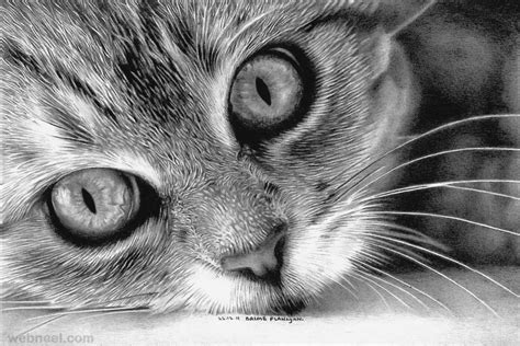 Cat Drawing Flanagan 4 - Full Image