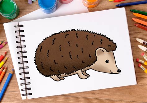 How to Draw a Hedgehog | Design School