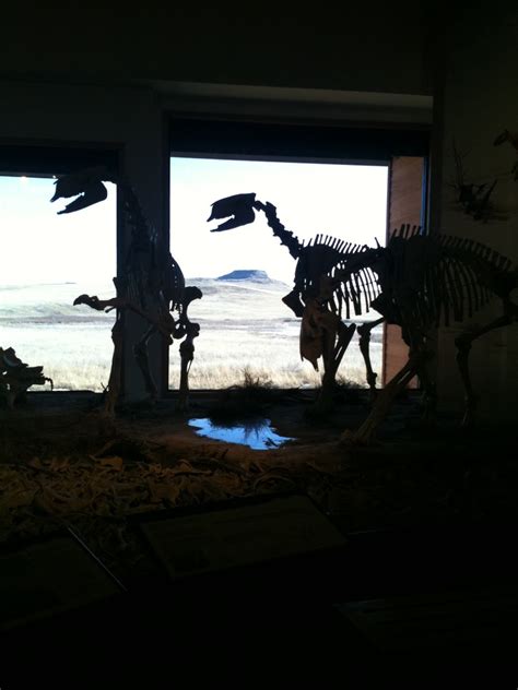 The Cancellation Station: UPDATE - Agate Fossil Beds National Monument (Revisited) - 1/26/11