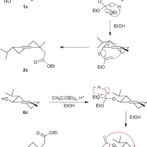 Different pathway biosynthesis of terpenes | Download Scientific Diagram