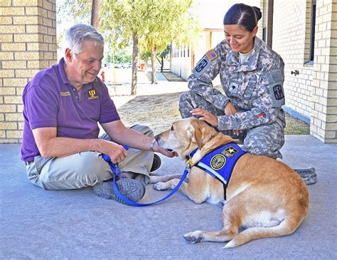 Animal-Assisted Therapy: The Therapeutic Role of Animals in Rehabilitative Care – Wag Pet Boutique