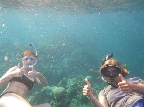 Go snorkeling! | Fiji time, Snorkeling, Trip