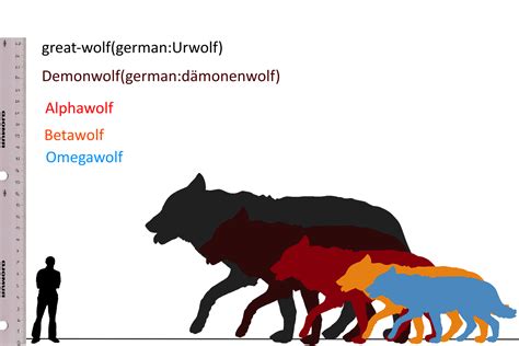 Wolf Vs. Dog Size Comparison