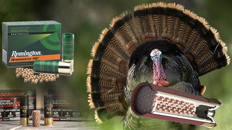 Bagging Birds - The 5 Best Turkey Hunting Loads for Shotguns