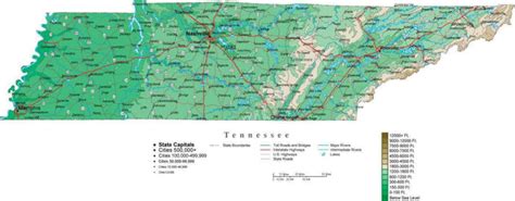 Tennessee Contour Map in Adobe Illustrator Digital Vector Format