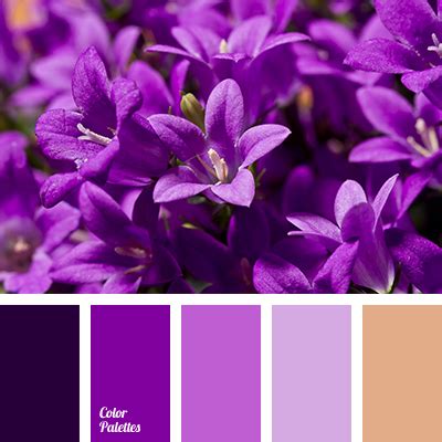 brown and purple | Color Palette Ideas