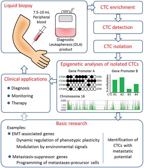 Genes | Special Issue : Epigenetic Biomarkers