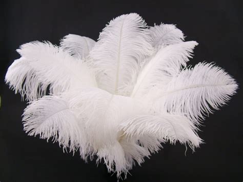 Finest Premium Ostrich Feathers 20-25″ – Jaffe