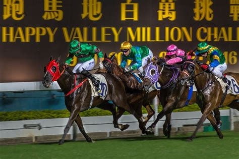 Happy Valley Racecourse - A Sport, Gamble, and Lifestyle