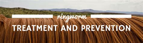 Signs, symptoms and treatments of ringworm in horses | Horsemart