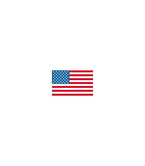 United States of America (USA) Courtesy Flag 12x18 in.