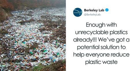 Scientists Created A New Type Of Plastic That Stops The Non-Recyclable Plastic Problem | Bored Panda