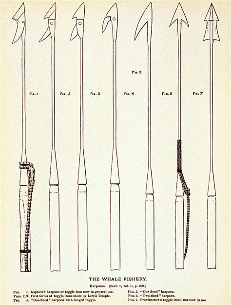 19th Century Whaling Harpoon