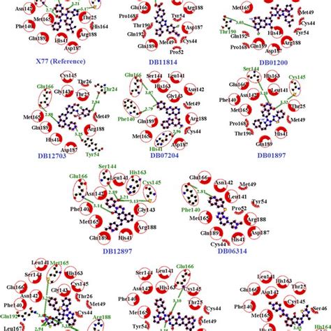 Hydrogen bonds and hydrophobic bond interactions between protein ...