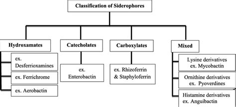 Outline classification of microbial siderophores based on chemistry ...