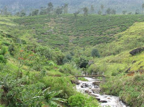 THE 15 BEST Things to Do in Nuwara Eliya - 2018 (with Photos) - TripAdvisor