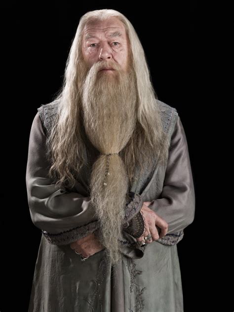 Portrait of Albus Dumbledore — Harry Potter Fan Zone