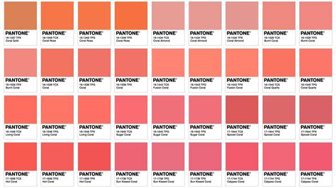 Цвет персиковый код: Цветовой код персика - персиковый цвет RGB
