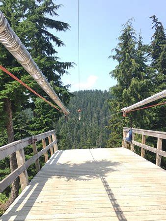 Grouse Mountain Ziplines (North Vancouver) - 2019 All You Need to Know Before You Go (with ...