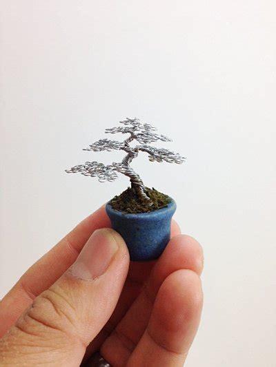 Catch up with Ella: The world`s smallest tree