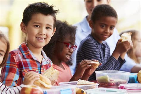 7 Ways to Get Your Child to Eat Their School Lunch